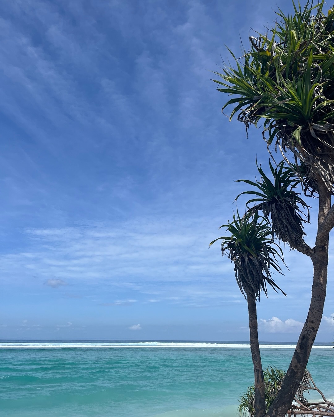 Palmbomen en zee op Gili